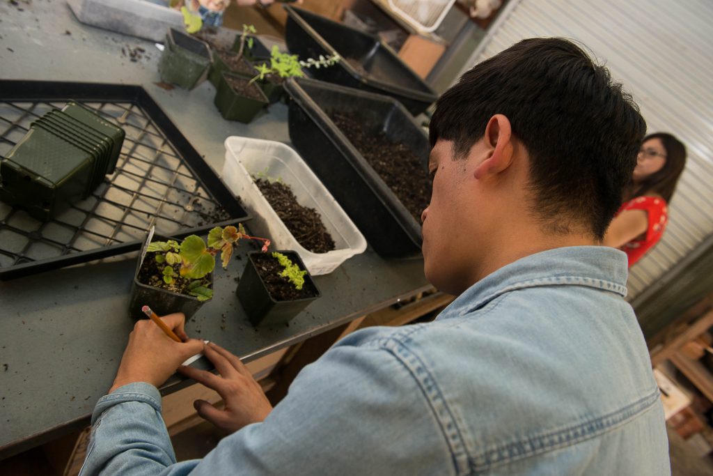 Ornamental Horticulture Fullerton College